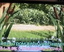 動画にロシア語字幕つけます 英語または日本語の動画にロシア語の字幕をつけます イメージ1