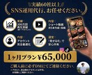 月5本/SNS動画運用を代行します 300万再生の実績で伸ばします イメージ1