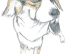 ペットの色鉛筆イラスト作成します 皆様の愛犬・愛猫を可愛らしく色鉛筆でイラスト描きます イメージ4