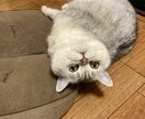 女性限定☆恋愛相談承ります ☆女性限定で恋愛相談を承ります☆ イメージ1