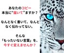 セールスに特化したAIで売れるコピーになります 16技法から選び売れる文章に。プロ仕様の刺さる言葉にリライト イメージ2