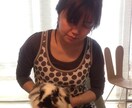 うさぎさんの飼い方アドバイスします うさぎ専門シッターがあなたの大切なうさぎさんのお悩み解決！ イメージ4