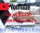 動画のテロップ作成します 地味にめんどくさいテロップ付けをスキップできます！ イメージ1