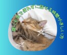 40代・50代女性のお悩み、ゆっくりお聴きします ☘️更年期/介護/人間関係/鬱/孤独/恋愛/愚痴/雑談など イメージ5