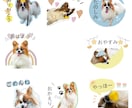 スタンプ16個好きな写真でLINEスタンプ作ります スタンプ16個！何度でも修正可能♪世界に1つだけのスタンプ＊ イメージ4