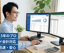 経理歴15年のプロが領収書丸投げの記帳代行します 経理歴15年の現役経理が、あなたの「面倒」を引き受けます！ イメージ1