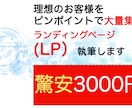 集客のためのLP原稿書きます 見込み客を集めるためのLPのライティングをします。 イメージ1