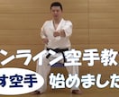 初心者向けのオンライン空手レッスンをいたします 空手指導歴20年優勝経験多数の講師が丁重に指導します。 イメージ1
