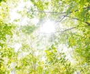 精神疾患に関する不安・疑問・お悩みを解消致します 精神科救急勤務歴10年の看護師です。何でもご相談ください。 イメージ5