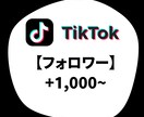TikTok フォロワー増加します TikTok フォロワー +1000〜5万人 イメージ1