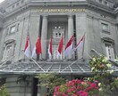４回分（30分×４回）分英会話レッスンをします 定期的レッスンの方向け！４回分まとめて購入できます イメージ1