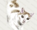 ペットの似顔絵｜写真からリアルに再現します 【丁寧仕上げ】メモリアル・ギフト、インテリア・アート イメージ3