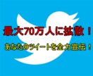 最大70万人以上に拡散します あなたのツイートを全力で輝かせます！ イメージ1