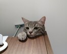 つわりが死ぬほどしんどい方、辛い気持ちお聞きします 妊娠が判った時は嬉しかったけど悪阻がこんなに苦しくて辛いとは イメージ1