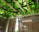 ◆◇◆お話聴きます◆◇◆周囲の人に言いにくい愚痴や悩み、吐き出しませんか？ イメージ1