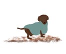 わんちゃんのおしゃれなイラスト描きます 小物の追加や修正無料 / スピード納期も可◎ イメージ4