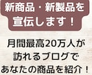 あなたの新商品・新製品を全力で紹介します 月最高20万人が訪れるブログで新商品・新製品を紹介致します！ イメージ1