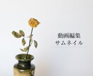 動画編集サムネイル作ります サクッとシンプルな動画がいい人向け イメージ1
