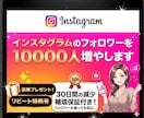インスタのフォロワー10,000人増やします 今だけ特典！いいね2000件追加します！ イメージ1