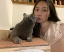 しょしんしゃ の にほんごを おしえます にほんご はなしたいひと、れんしゅうしたいひと。 イメージ1