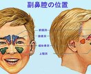 平日＆土曜夜　発声のみオンラインレッスンいたします 声楽＆オペラ　発声に特化したレッスンで声を整えていきましょう イメージ5