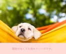 一人で抱えきれない気持ちを整理する電話相談をします 国家資格の心の専門家が、次の一歩を見つけるサポートをします イメージ8