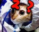 Twitchなどで使えるスタンプ・GIF作ります 1つ250円でTwitchなどで使えるスタンプ・GIF制作 イメージ4