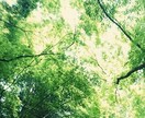 誰かに聞いて欲しいこと、お聞きします トークルームで２日間、お気持ちに寄り添います☆ イメージ2