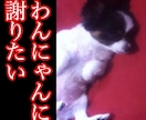 わんにゃんに謝りたい　聞きたい事伝えたい事承ります 保護犬猫と暮らす霊視占い師が、わんにゃんと魂のセッション イメージ1