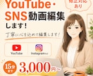 Youtube動画・SNS動画を編集します ご要望に寄り添い丁寧に編集いたします イメージ1