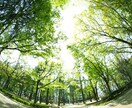 あなたの気持ちをスッキリさせます 世間話から悩み相談までどんな事でも聞きます! イメージ3