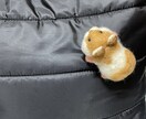 ご依頼後制作はじめます ハムスターブローチアクセサリーですよろしくおねがい致します イメージ1