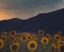 あなたの撮った写真のRAW現像を代行します 現役で写真現像をしている私があなたの写真を仕上げます！ イメージ4
