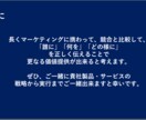 京大卒・現役プロがマーケティング戦略一緒に考えます 10兆円企業プロ・大学非常勤講師がマーケ戦略からKPIまで イメージ8