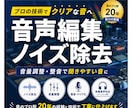 PA歴20年｜音声を聞きやすく自然に整えます ノイズ除去と音量調整で聞きやすく調整します イメージ1