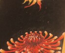 ご希望のチョークアートボードを作成します あなただけの温もりあるオリジナルボードを…【お試し5点！】 イメージ5