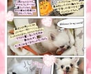 大切な画像を1枚の思い出に可愛くまとめます 大切なペットの画像なども可愛く仕上げます。 イメージ1