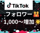 TikTokフォロワー1000人以上増やします TikTokのプロがフォロワー増加を支援します♪ イメージ1