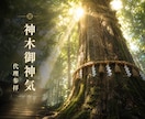 樹齢千年の御神木へ願いを心を込めてお届けします 神木御神気代理参拝◆あなたの願いを神聖な御神木へお届けします イメージ1