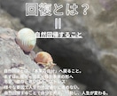 元消防士が人生停滞を読み、本来の自分へ回復させます 100名超の実績。占いと心理学で人生を回復へ導きます。 イメージ5