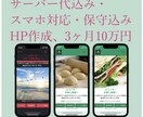 サーバー代込みでHPを作成します 暇な大学生が精一杯作成させていただきます！！(python) イメージ1