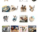 自慢のうちの子（ペット）のLINEスタンプ作ります 特訓期間のため２４個3,000円の１メニューです！ イメージ2