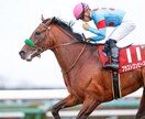 競馬初心者に馬券の買い方教えます 競馬を最近始めたけど当たらない！っていう方でもOKです！ イメージ4