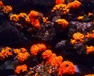 愛されたかった貴方へ。優しく包みます 誰かに愛されたかった。寂しさ、悲しみで胸が痛い時ないですか？ イメージ3