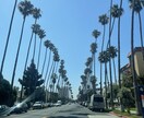 ローカルの視点でロサンゼルスについてお答えします 〜LA20年、元航空会社勤務で経験、知識あります〜 イメージ8