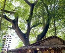 タイ移住・賃貸前の現地確認や周辺調査を代行します ラーチャブリー在住｜騒音・治安・生活環境などリアルに確認 イメージ4