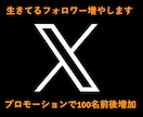 Xのアクティブ日本人フォロワー約100名増やします 活発な日本人フォロワーを格安で約100名！ イメージ2