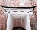 霊視ヒーリングで電話鑑定いたします お相手のお気持ちと今後をビジョンリーディング イメージ1