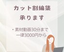 動画のカット割編集 承ります 見やすい・聞きやすいジェットカット イメージ1