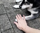 お話を聞きます 話したいことがある方へ、気軽にお電話ください イメージ2